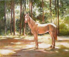 kon arabski, arabian horse, olej, 33x28
