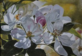 kwiaty jabłoni, apple blossoms, oil, canvas 100x70cm
